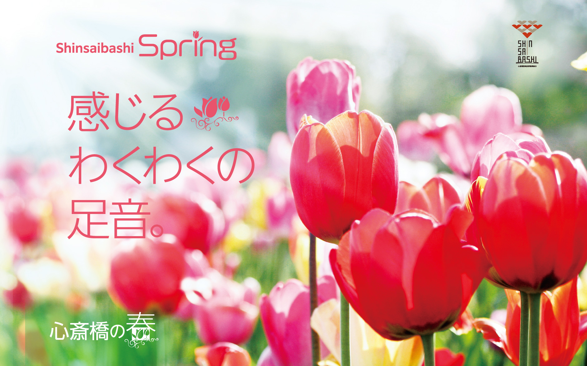 shinsaibashi spring 感じる わくわくの足音